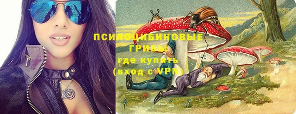 герыч Мегион