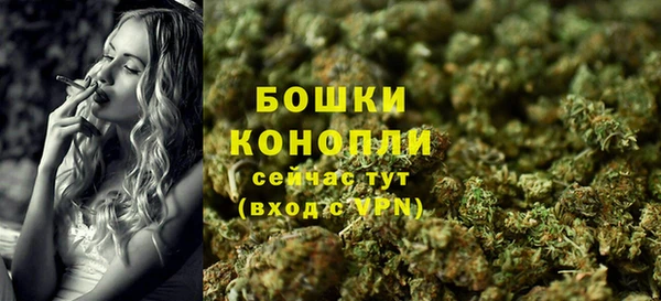 герыч Мегион
