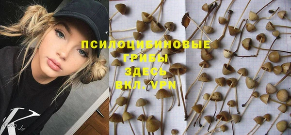 герыч Медногорск