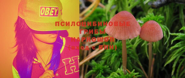 герыч Мегион