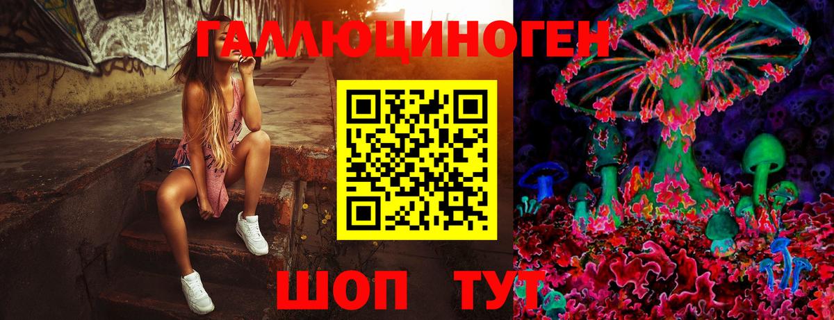 Псилоцибиновые грибы Psilocybe  Кировск  Галлюциногенные грибы MAGIC MUSHROOMS 