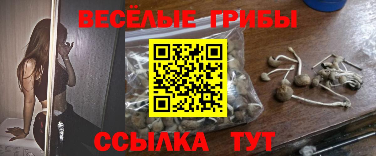 Галлюциногенные грибы Cubensis Кировск