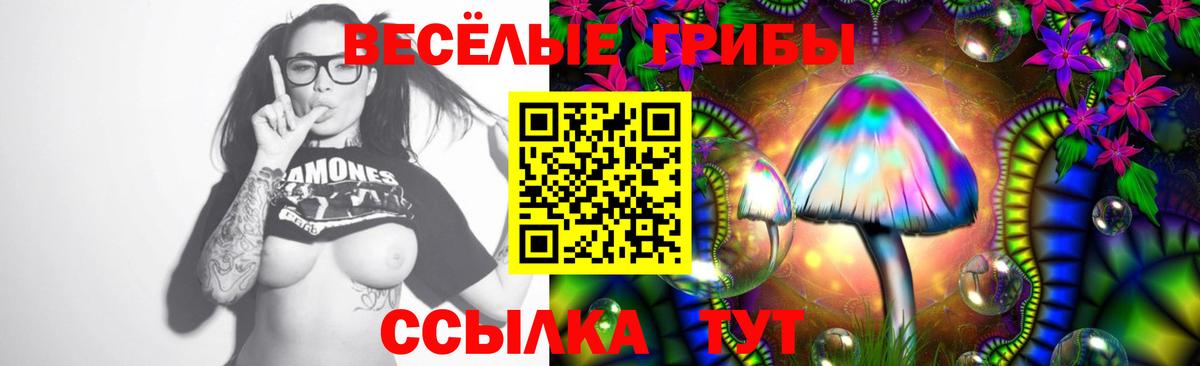 Псилоцибиновые грибы Psilocybe  Псилоцибиновые грибы мухоморы  Кировск  Вход с VPN 
